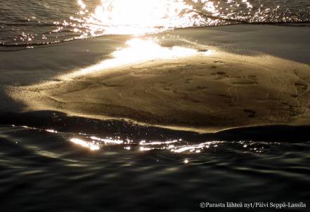 Ilta-auringon leikkiä rannan vedessä ja hiekassa.